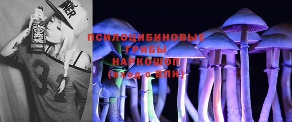 ПСИЛОЦИБИНОВЫЕ ГРИБЫ Аркадак