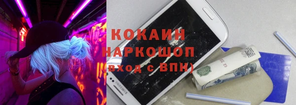 гашик Осинники