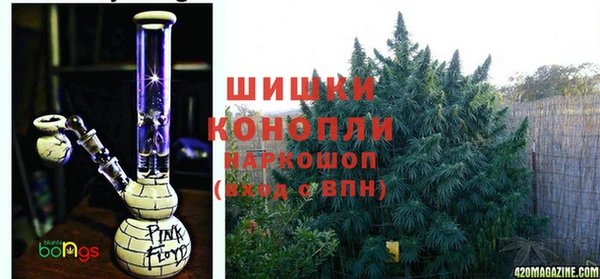 ПСИЛОЦИБИНОВЫЕ ГРИБЫ Аркадак